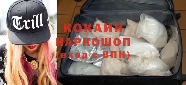 apvp Алзамай