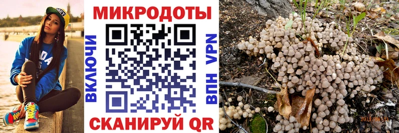 Галлюциногенные грибы MAGIC MUSHROOMS  где купить наркоту  Мегион 